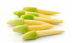 описание огурцов сорта Ласточка