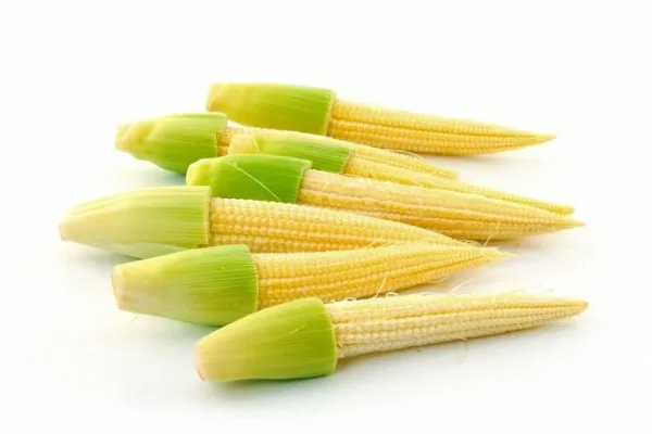 кукуруза Миниголд