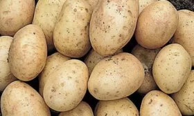 огурцы Лихач