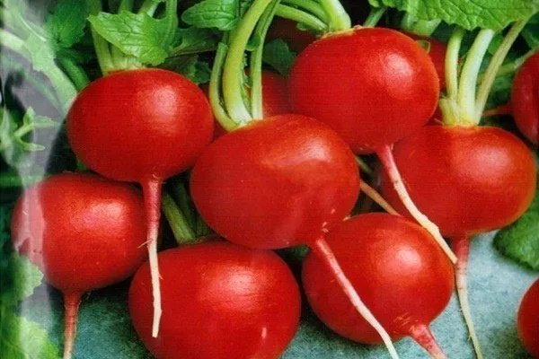 Мечта Алисы