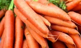 морковь сорта Виктория