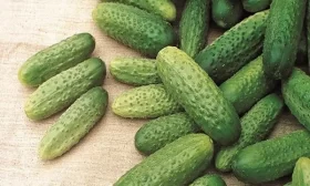 огурцы Астерикс