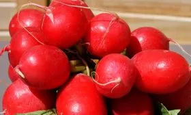 Когда созревает, продуктивность