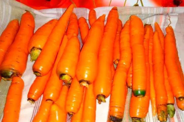 Когда созревает, урожайность