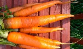 Особенности применения