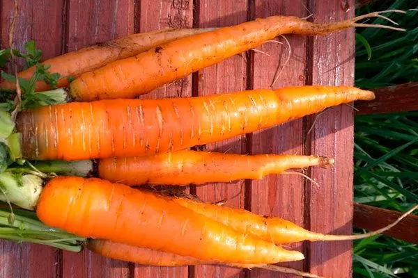 Особенности применения