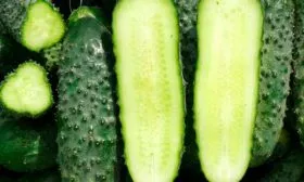 Вкус и предназначение