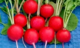 Меркадо Она где-то