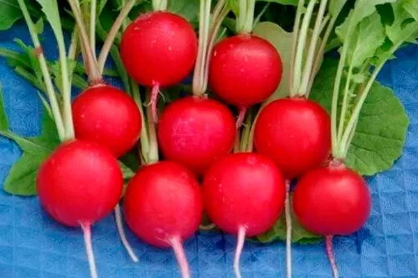 Меркадо Она где-то