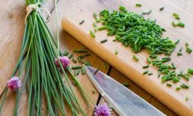 Вкус, предназначение