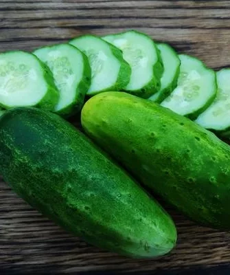 огурцы Зимний сорт