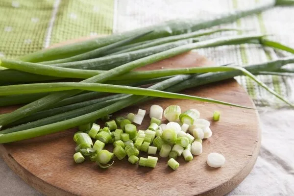 применение зелёного лука