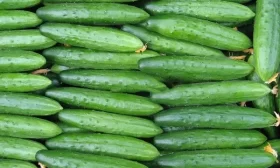 как использовать капусту