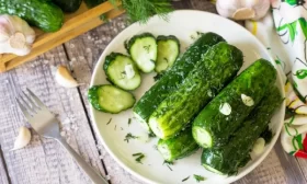 выращивание редиса-микрозелени в лотке