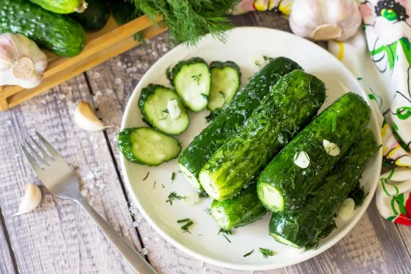 выращивание редиса-микрозелени в лотке