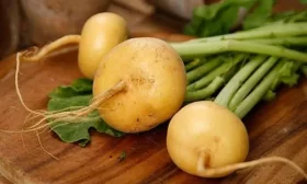 консервированные огурцы