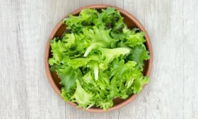 огурцы сорта Майский