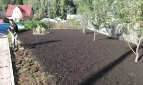 салат из огурцов сорта Герольд