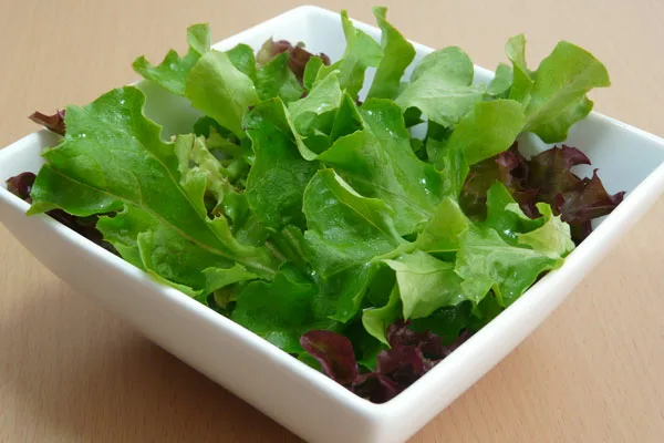 салат из Афициона