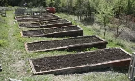 грядки для редиса