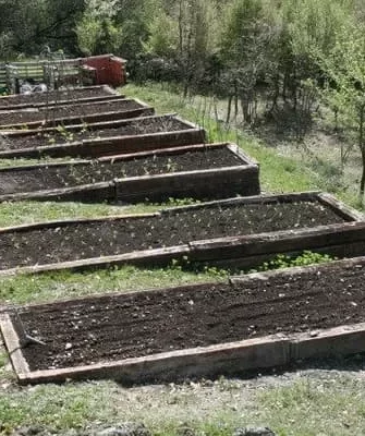 Всесезонный