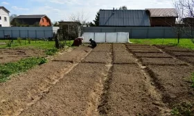 участок под посадку редиски