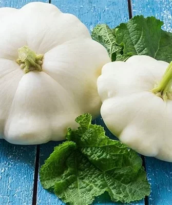 плоды патиссона