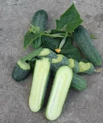 огурцы Мальчик с пальчик