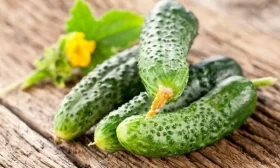 зеленцы Кум да кума