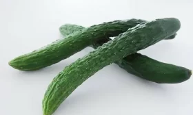 огурец Зеленый змей