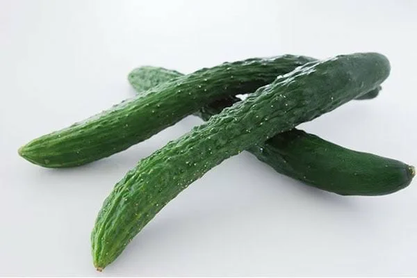 огурец Зеленый змей