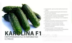 Представление о сорте