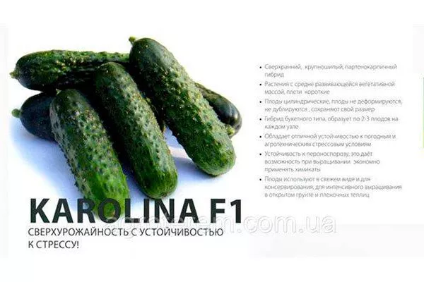 Представление о сорте