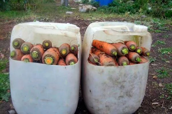 Сбор урожая