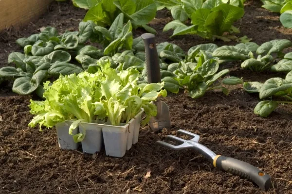 подготовка к посадке