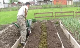 подготовка грунта