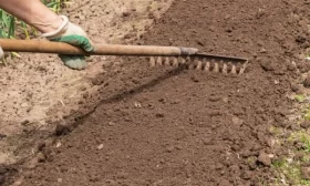 подготовка грядки