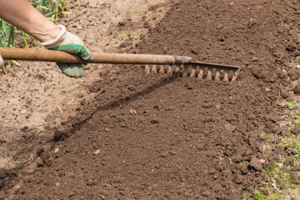 подготовка грядки