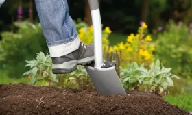 участок для огурцов