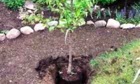 Посадка Вулкан