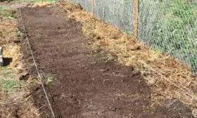 грядки под огурцы