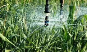 участок для огурцов