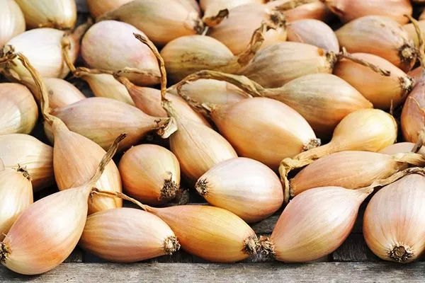 сбор урожая