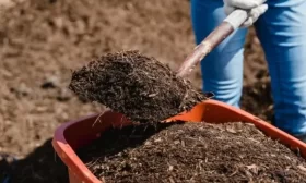 как подготовить участок