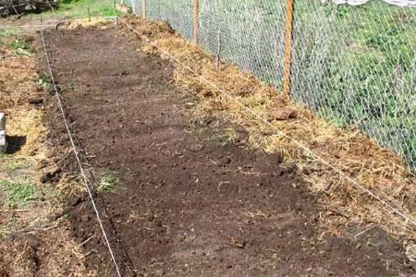 подготовка участка под посадку огурцов