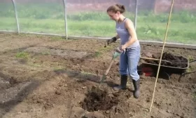 участок под огурцы