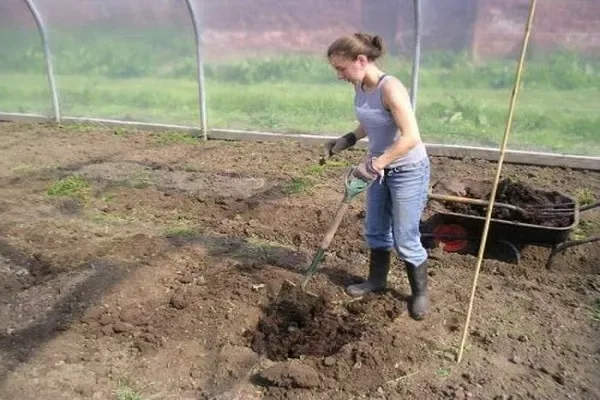 подготовка грядок