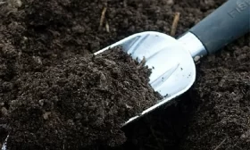 почва для посадки огурцов