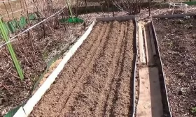 подготовка грядок