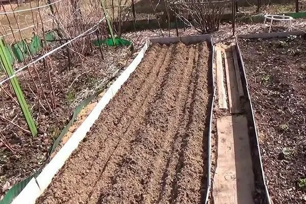 подготовка грядок